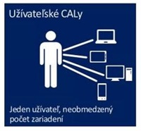 OEM Windows server CAL 2016 User English - 5 CAL R18-05244