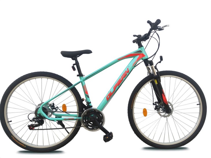 Olpran Blade Horský bicykel mintová/červená 29" 100001124075