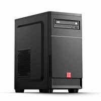 oLYNX Easy G6900 8G 512G NVMe SSD DVD±RW W11 HOME 10463056