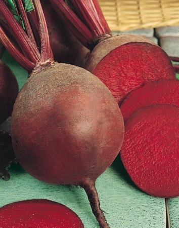 Osivo cvikla guľatá – Bona