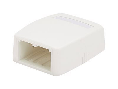 Panduit MINI-COM - Krabice k upevnění na povrch - arktická bílá - 2 porty CBXQ2AW-A