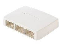Panduit MINI-COM - Krabice k upevnění na povrch - arktická bílá - 6 portů CBXQ6AW-A