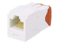 Panduit MINI-COM TX-5e - Modul - červená - 1 port CJ5E88TGRD