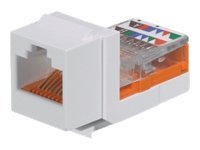 Panduit NetKey - Modul - bílá - 1 port NK5E88MWHY