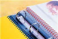 Pásek s univ. perforací pro kovovou vazbu 2/1" lambandwire2