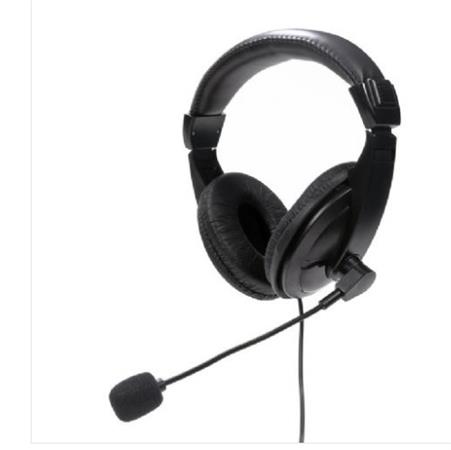 PLATINET FIESTA HEADSET STEREO WITH MIC USB-A DIGITAL BLACK FIS7510