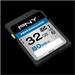 PNY SD32GPER80-EF