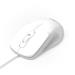 PORT CONNECT PRO LITE, optická USB-A myš, 1000 DPI, bílá 3567042031616