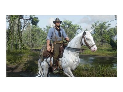 Red Dead Redemption 2 - Win - ESD - Activation Key must be used on a valid Rockstar Games Social Cl 856839