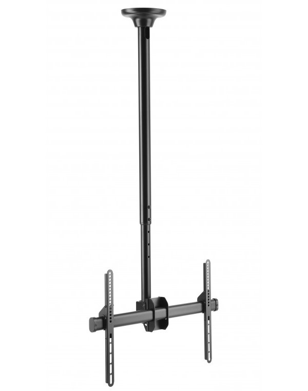 Reflecta PALLAS 70-6040T stropní TV držák PR23127