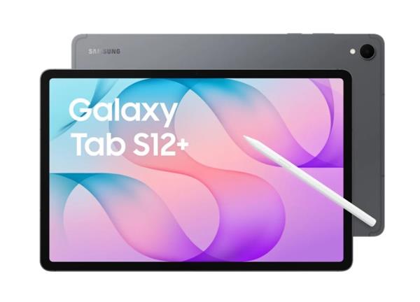 Samsung Galaxy Tab S12+ 5G/SM-X846B/12,6"/2800x1752/12GB/256GB/An17/Gray SM-X846BZAREUE