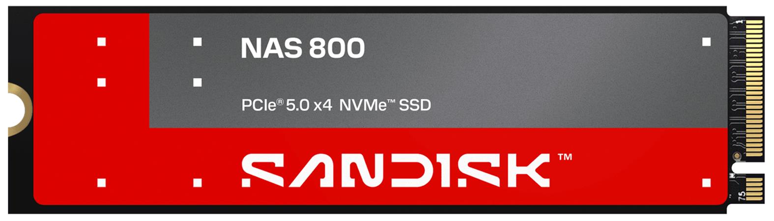 SANDISK NAS 800 NVMe SSD,960 GB, M.2 2280, TLC 3D NAND, (R:14900, W:11000MB/s) SDSNP2960GAN-000E0