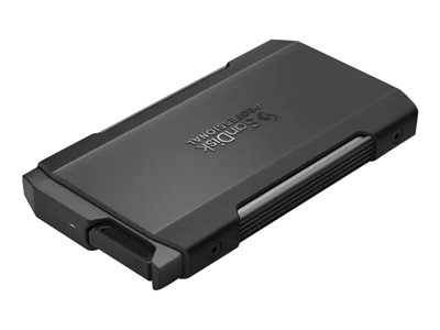 SANDISK, Sandisk Pro Blade M.2 SSD Transport 4TB SDPM2NB-004T-GBAND
