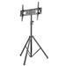 SBOX podlahový držák pro LCD/LED 37"- 70", černá (FST-846) 0616320537753