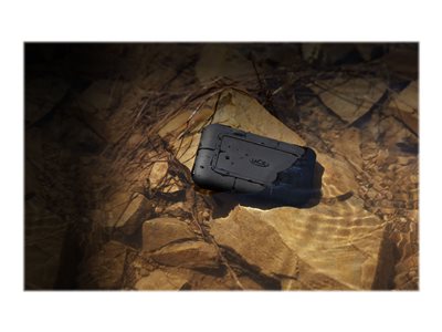 SEAGATE, LaCie Rugged SSD Pro 1TB Thunderbolt 3 STHZ1000800