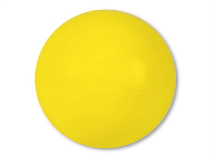 Sedco 0797 Gymnastický míč RITMIC 01101 8001011011018