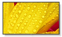 SHARP/NEC LFD 65" MultiSync M651-2, IPS, 3840x2160, 500nit, 8000:1, 8ms, 24/7, DP, HDMI, LAN, USB, Mediaplayer 60006086
