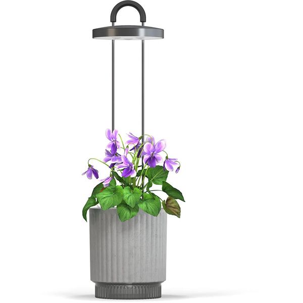 Smart Garden 1 Hydrovase, šedá PCW-114