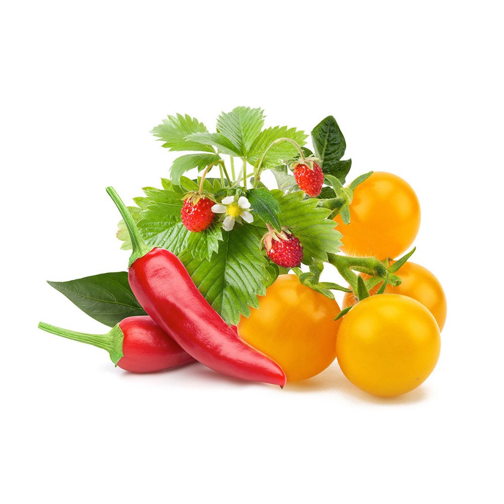 Smart Garden Mix ovocia a zeleniny 3-pack PCW-082