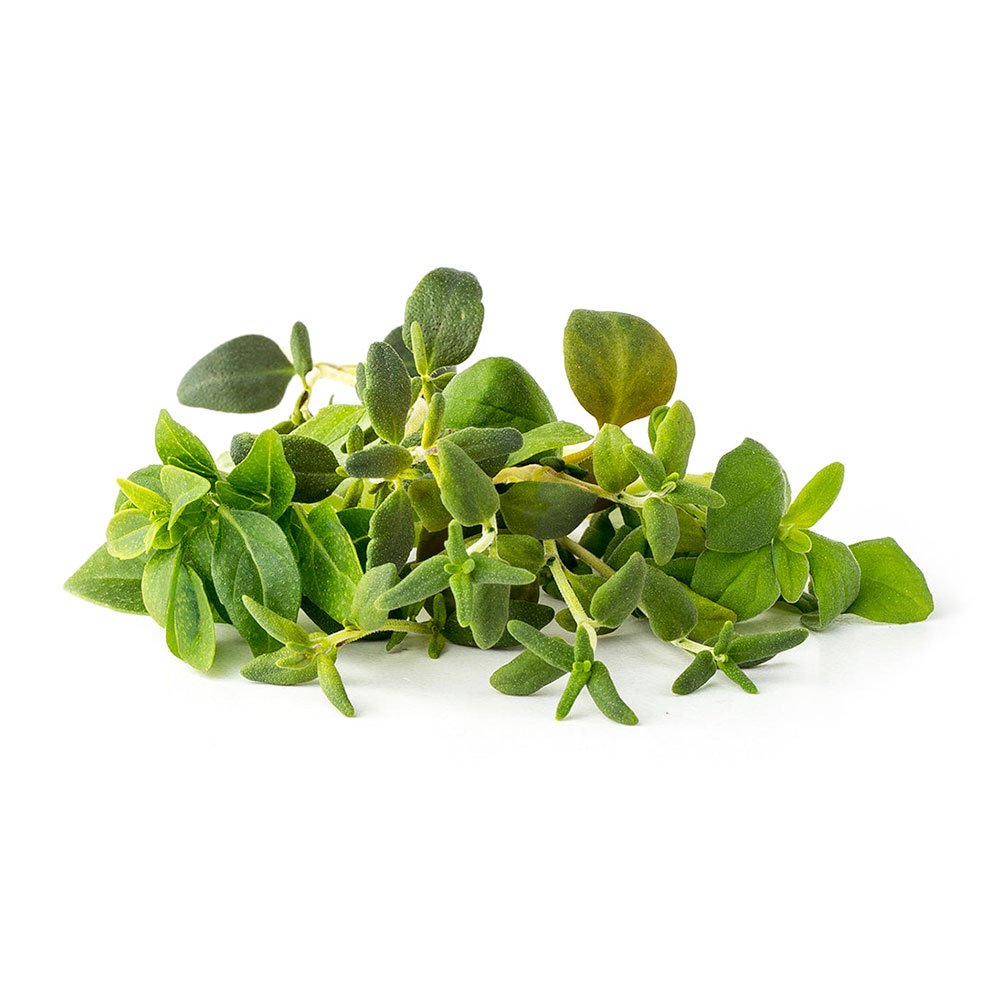 Smart Garden Mix Talianských bylín 3-pack PCW-079