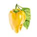 Smart Garden Sladká žltá paprika PCW-053