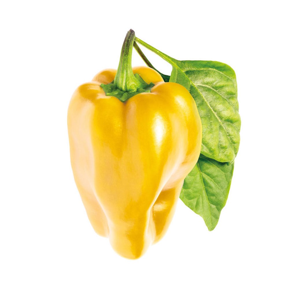 Smart Garden Sladká žltá paprika PCW-053