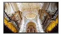 SMART Signage LED QB65C 65" LH65QBCEBGCXEN - pošk. obal LH65QBCEBGCXEN_bazar