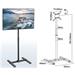 Stojan na Tv monitor Fiber Mounts FM11