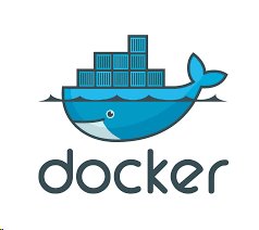 Synology Docker DSM 1 License