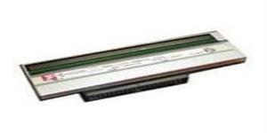 Tisková hlava pro Z4M Plus 300dpi G79057M