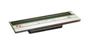 Tisková hlava pro ZM400 203dpi 79800M