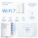 TP-Link Deco BE85(2-pack) WiFi7 Mesh(BE22000,2,4GHz/5GHz/6GHz,1x10GbELAN/WAN,1xSFP+/10GbELANcombo,2x2,5GbELAN/WAN,1xUSB)