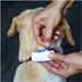Tractive GPS DOG 4 - Gumové spony TRNJACLB3