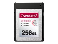 Transcend CFexpress 820 - Paměťová karta flash - 256 GB - CFexpress typu B TS256GCFE820