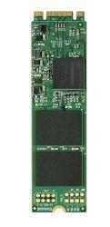 Transcend MTS800 - SSD - 32 GB - interní - M.2 2280 - SATA 6Gb/s TS32GMTS800