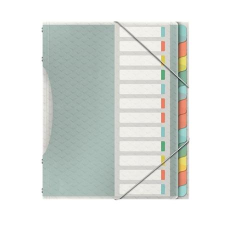 Třídící desky Esselte Colour'Ice, 12 listů, mix barev 626256