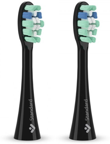 TrueLife SonicBrush Clean-series black 8594175359299
