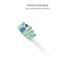 TrueLife SonicBrush Standard whi 8 pack 8595724902317