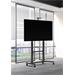 Vogel's ESSENTIAL T1041 pojízdný stojan pro TV 65-110", 100 kg, 120-170 cm, černý T 1041