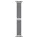 Watch Acc/41/Silver Milanese Loop ML753ZM/A