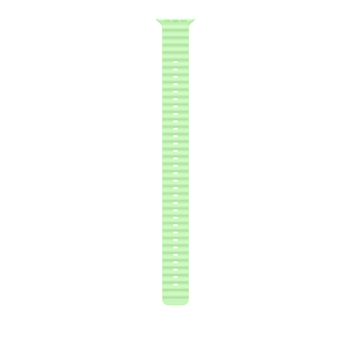Watch Acc/49/Neon Green Ocean Band Ext. - N.Titan MGCG4ZM/A
