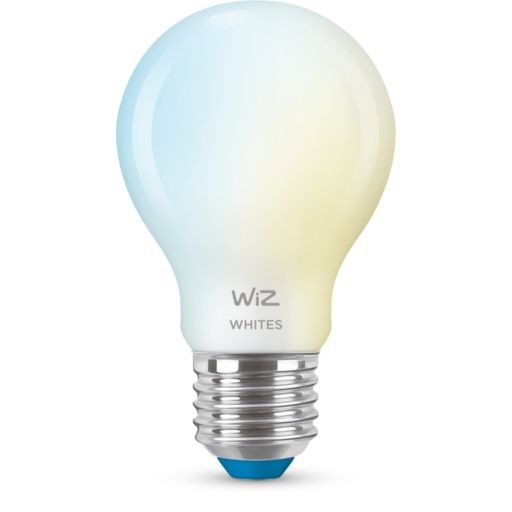 WiZ Frosted Glass LED Ziarovka 8719514552081 E27