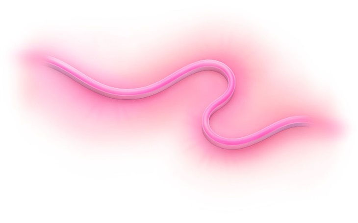 WiZ LED Outdoor flexibilny pasok 8720169074859 5m IP65 RGB