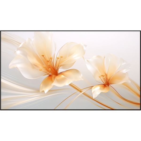 XGIMI 100" UST ALR Screen PGX-068