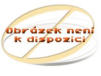 ZELMER 49.4000/ZVCA100B prachove vrecuska 5900215851693