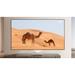 XGIMI 100" UST ALR Screen PGX-068