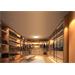 Xiaomi Mi Smart LED Ceiling Light D20 63606